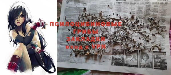 ГАЛЛЮЦИНОГЕННЫЕ ГРИБЫ Алзамай