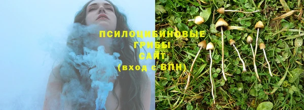 дмт Алексеевка